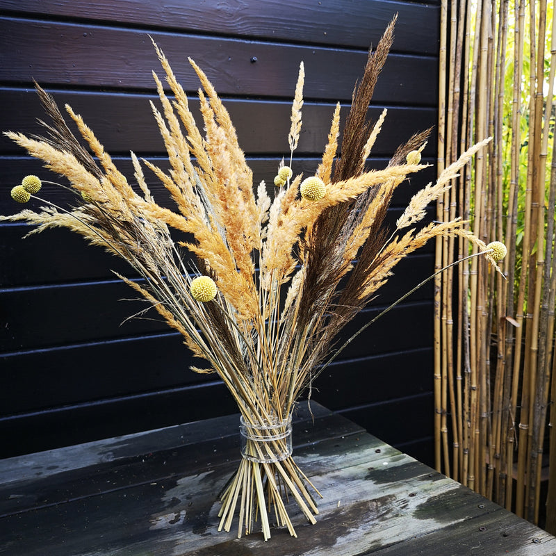 Ikebana-inspired arrangement with golden pampas grass and craspedia globosa tied with a Hanataba Spiral Stem Holder against a dark wooden backdrop.