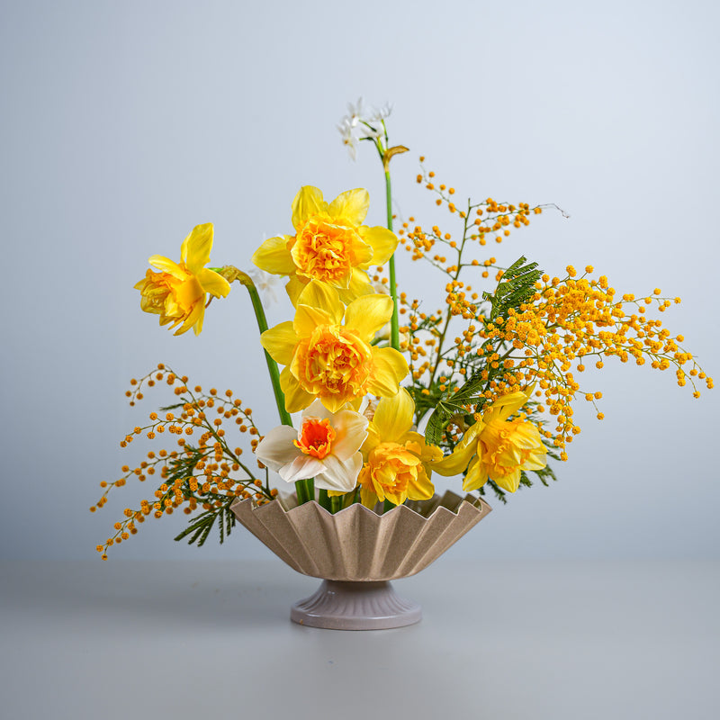 Bright yellow daffodils and delicate mimosa sprigs in a beige vase, artfully arranged with a 70mm Kenzan Fakir ring.