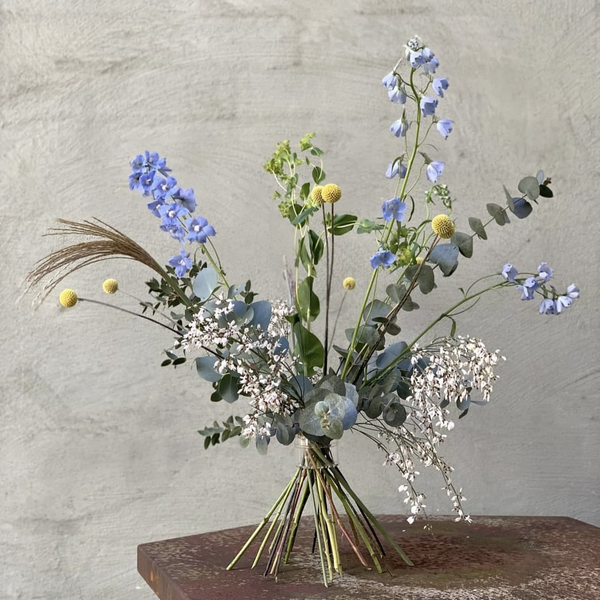 Ikebana floral display with blue delphiniums, yellow craspedia, and delicate baby's breath, arranged using traditional Hanataba spiral stem holder with Japanese techniques.