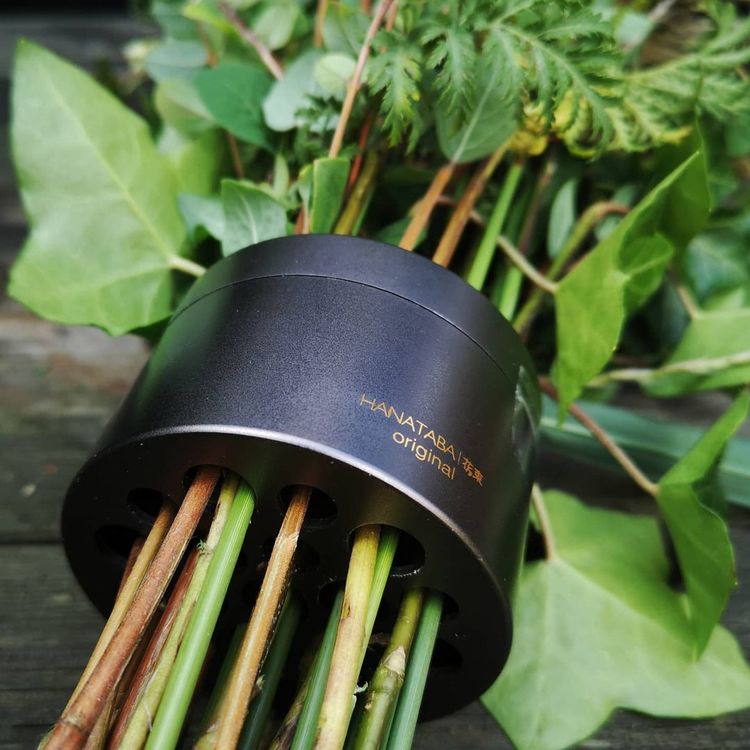 Stems of various greenery are bundled in a Hanataba Original pitch black spiral stem holder, designed for creating ikebana floral arrangements.