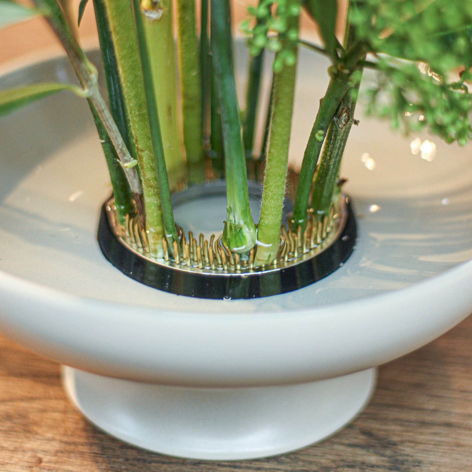 Kenzan Ring 70mm - Perfect for Ikebana Arrangements – Hanataba.co