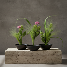 Three black bowls with plants on a stone block against a gray background