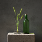 Green glass bottle and plant stuck to a hanataba kenzan 34 mm inside a glas vase standing on a concrete block with a dark gray background
