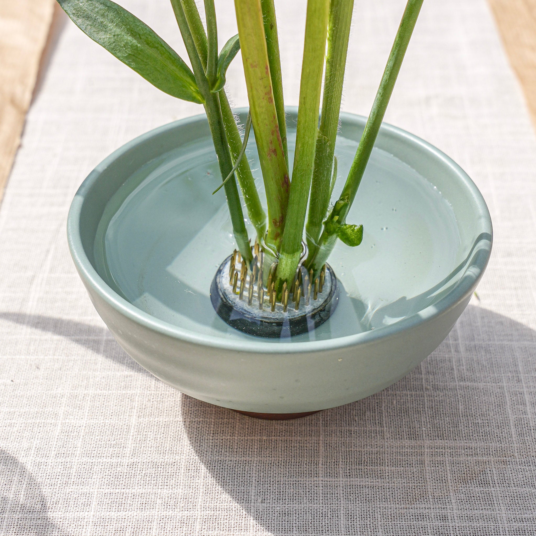Flower Frog Kenzan 34mm - Create Small Elegant Floral Arrangements