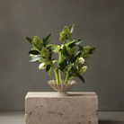 Green floral arrangement in a white vase on a stone pedestal against a gray background