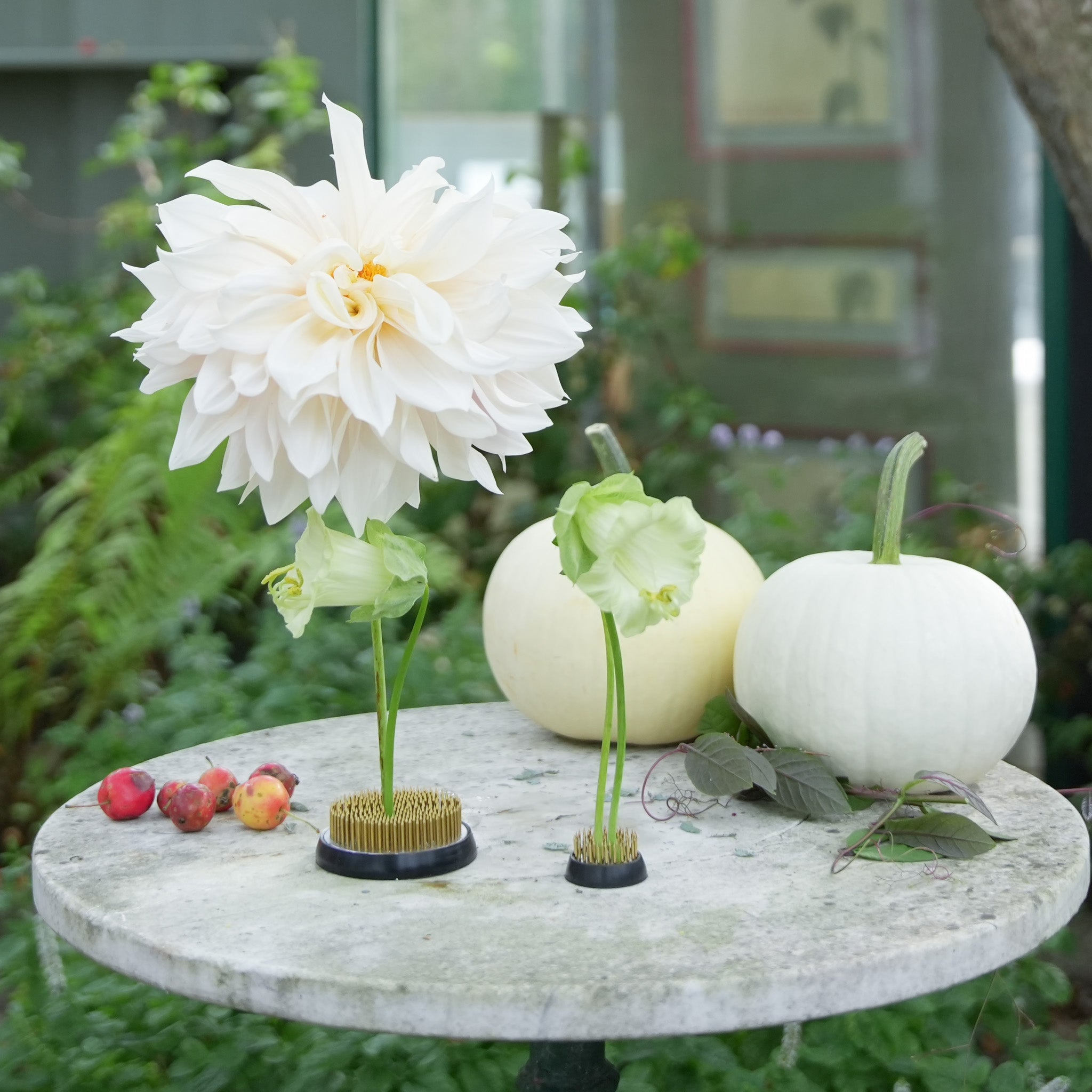White dahlias, green flowers on a kenzan flower frog 70 mm and a 34 mm flower frog and pumpkins standing on a marble table with greenery in the background