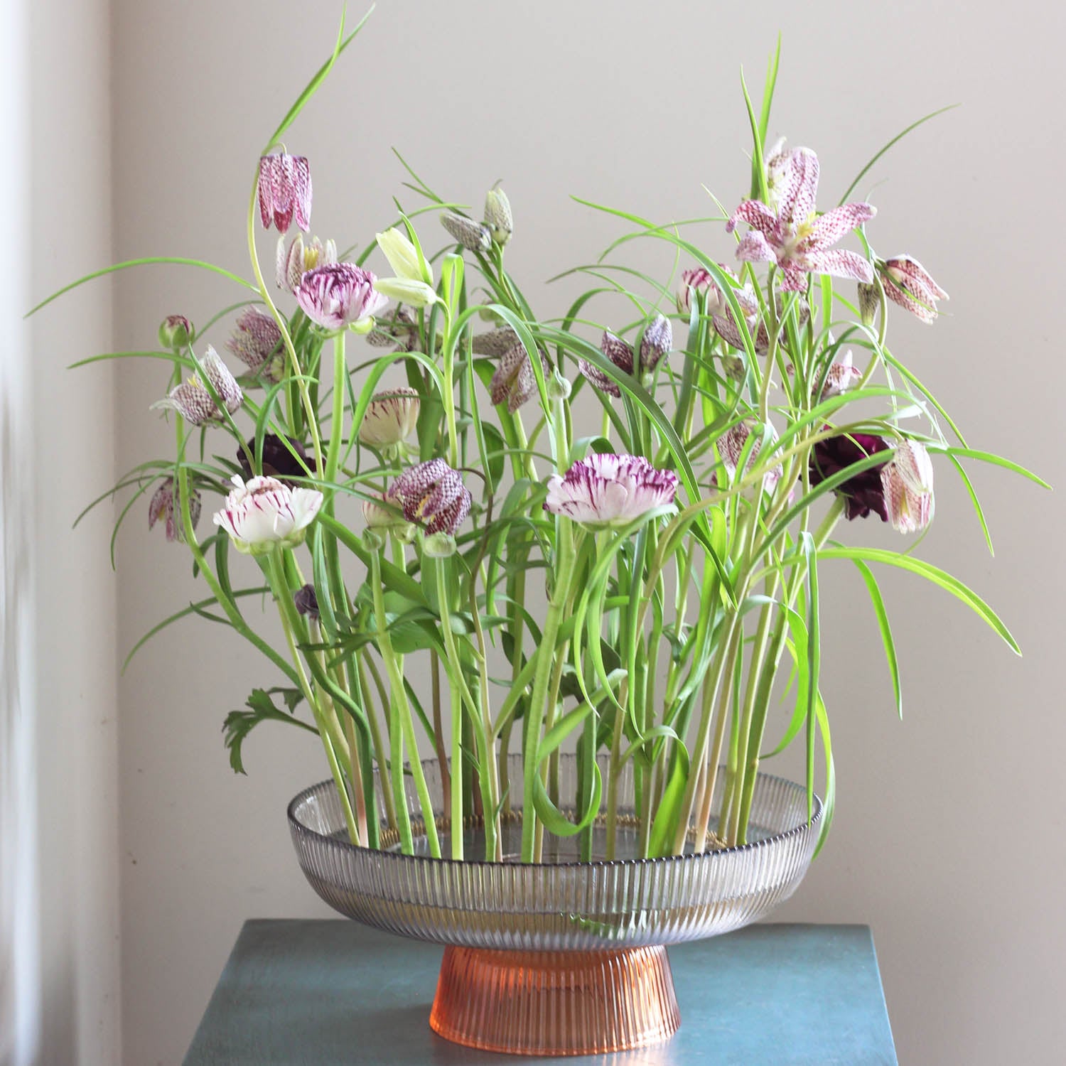 hanahana Flower Frog Kenzan Ring 200mm (7.9 Inch) - Secure Your Floral