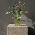 Clear glass vase with flowers on a concrete block against a gray background