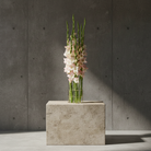 Clear Lisign MILANO vase with pink flowers on a concrete block against a gray concrete wall