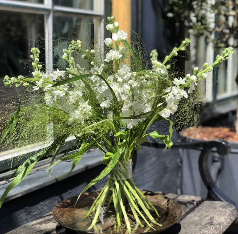 An Ikebana arrangement featuring an assortment of delicate white flowers, complemented by a Hanataba Crystal Clear Spiral Stem Holder for a modern touch.