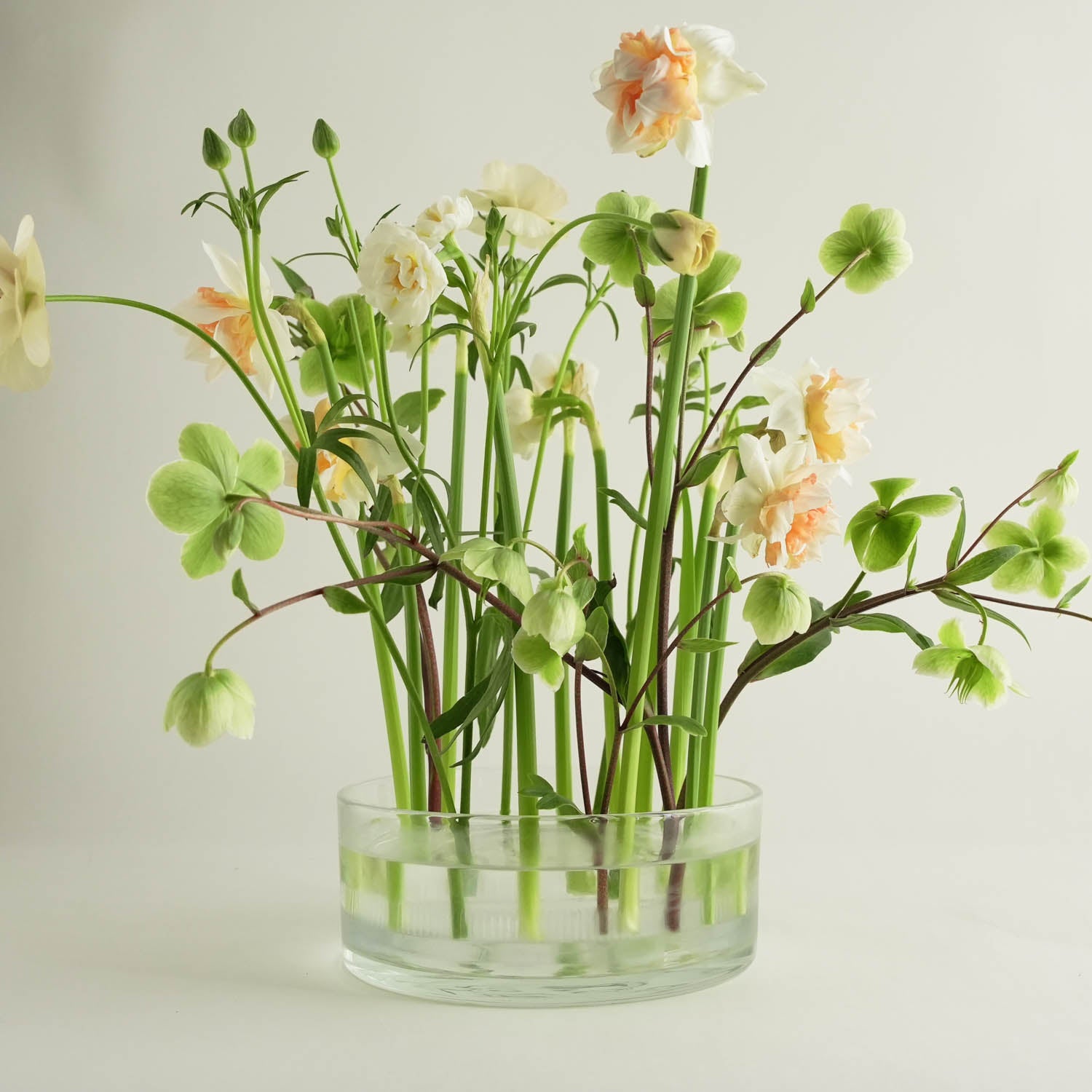 Kenzan Ring 150 mm Acrylic Flower Frog | hanataba.co – Hanataba.co