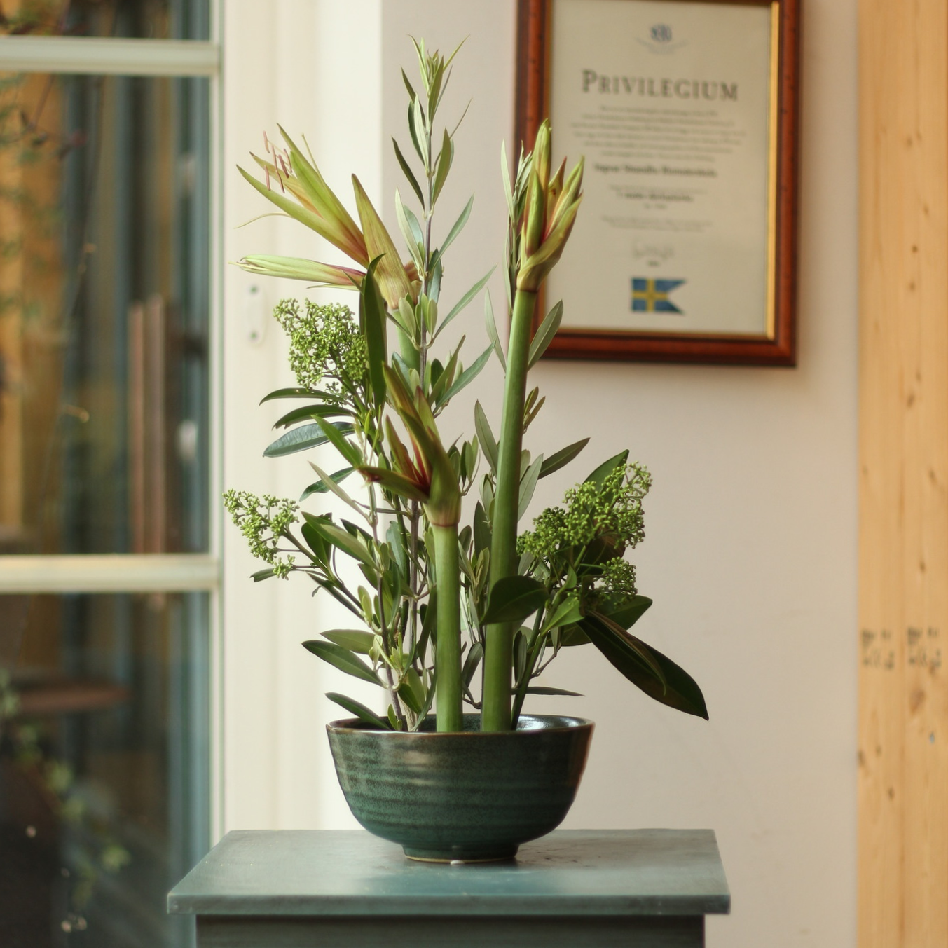 Sleek green lilies with a hint of pink on the petals and lush foliage rise elegantly from a striped green bowl, beside a window with a view of a garden, creating a serene and verdant indoor display