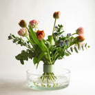 Bouquet of fresh pink and orange tulips arranged in a Hanataba Matcha Green flower twister, placed in a shllow clear glass cylinder vase. The flowers are hydrated by water, covering the bottom of the flower stems. The floral arrangement is placed in a bright white setting.