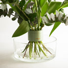 Bouquet of fresh flowers and eucalyptus leaves arranged in a Matcha Green Hanataba Bouquet Twister. The arrangements is placed in a low glass bowl filled with water.