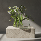Clear glass vases with white flowers on a concrete block against a gray wall.