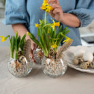 Three small glass vases with yellow flowers and decorative hanataba waterbubbles, standing on a table.
