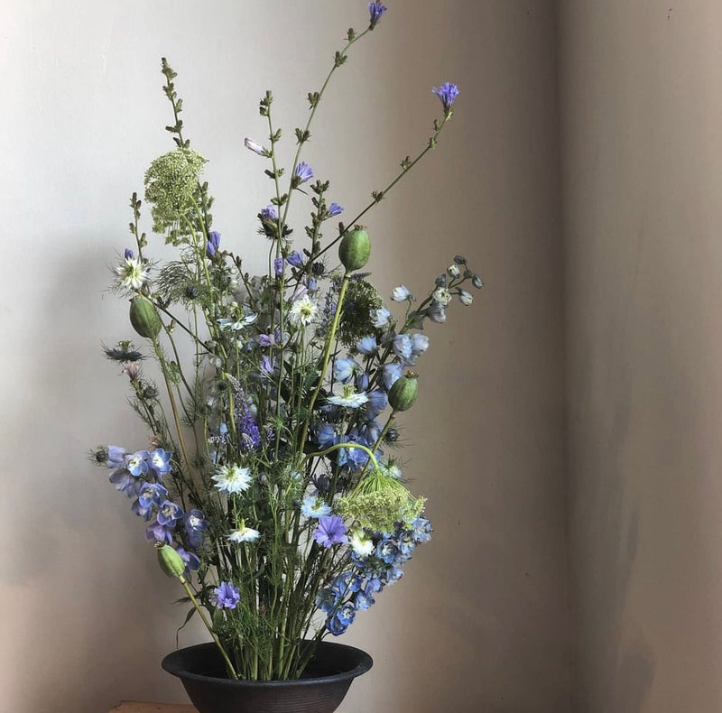 An eclectic mix of blue and white wildflowers with delicate greenery, displayed in a dark bowl on a kenzan ring, against a neutral background.