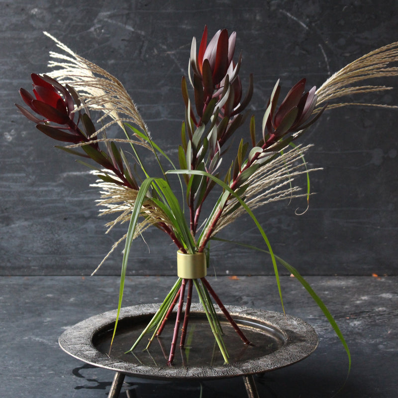 Exotic red leucadendron and pampas grass bouquet secured by a Champagne Gold Hanataba twister, against a dark backdrop.