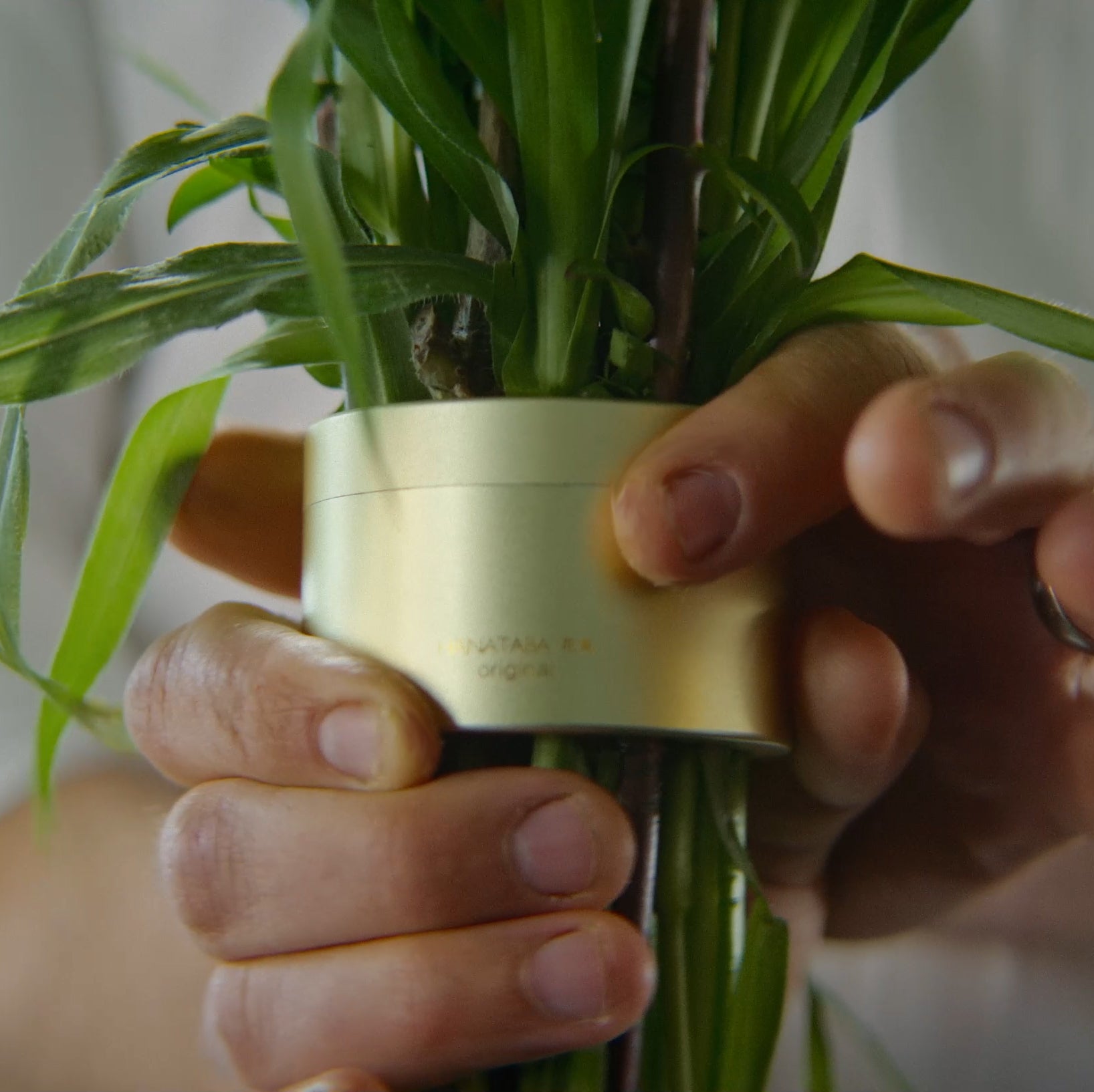 Close-up of hands adjusting a Hanataba Champagne Gold bouquet twister around a bunch of green stems, highlighting the unique elegance of the arrangement.